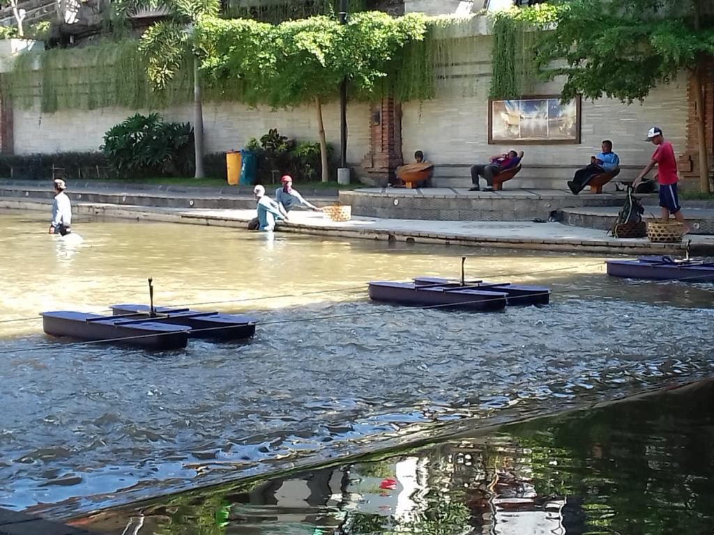 Hari Ini, Menteri LHK Kunjungi Tukad Badung dan Resmikan “Nano Bubble”