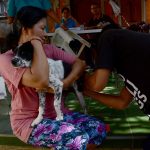 Tahun 2019, Vaksinasi Rabies Distan Denpasar Tembus Angka 73.587