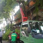 Memasuki Musim Penghujan di Penghujung Tahun,DLHK Intensifkan Perompesan, DPUPR Maksimalkan Penanganan Titik Genangan
