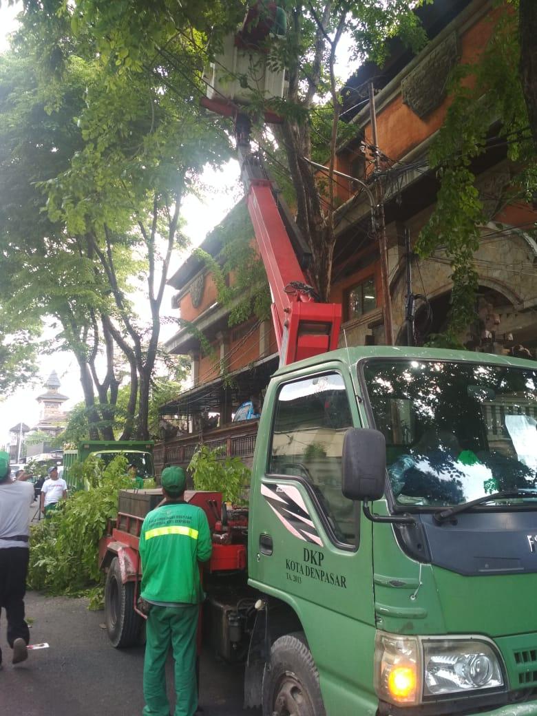 Memasuki Musim Penghujan di Penghujung Tahun,DLHK Intensifkan Perompesan, DPUPR Maksimalkan Penanganan Titik Genangan