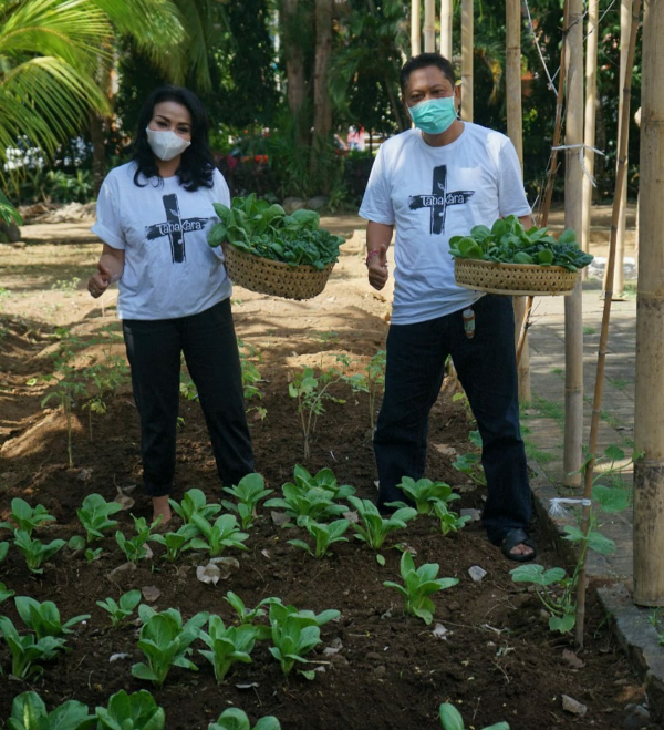Rai Mantra Panen Sayuran di Kebun Pekarangan Rumah  Ajak Seluruh Lapisan Masyarakat Ciptakan Ketahanan Pangan Skala Keluarga
