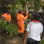 Tim Respon Cepat Desa Sumerta Kelod Evakuasi Pohon Tumbang