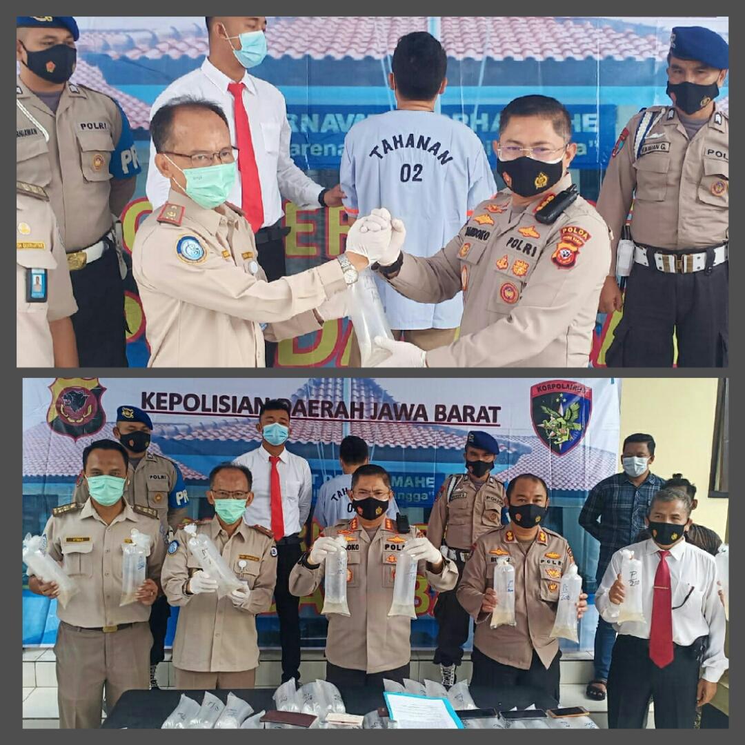 Dit Polairud Polda Jabar Amankan Tersangka Penyeludupan Baby Lobster dan Barang Bukti