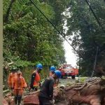 PLN UID BALI SIAGA HADAPI BENCANA ALAM