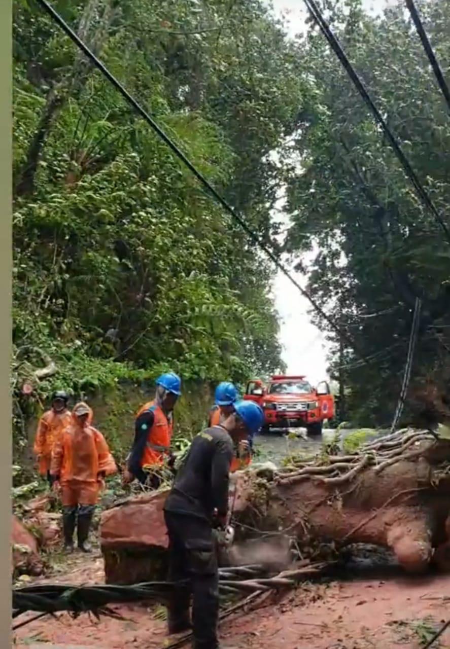 PLN UID BALI SIAGA HADAPI BENCANA ALAM