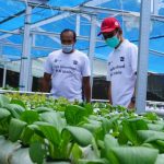 PLN UID Bali  Dorong  Modernisasi  Pertanian Dengan  Electrifying   Agriculture