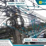 Kabel Listrik PLN UID Bali, terganggu Ulah Tiang beranak