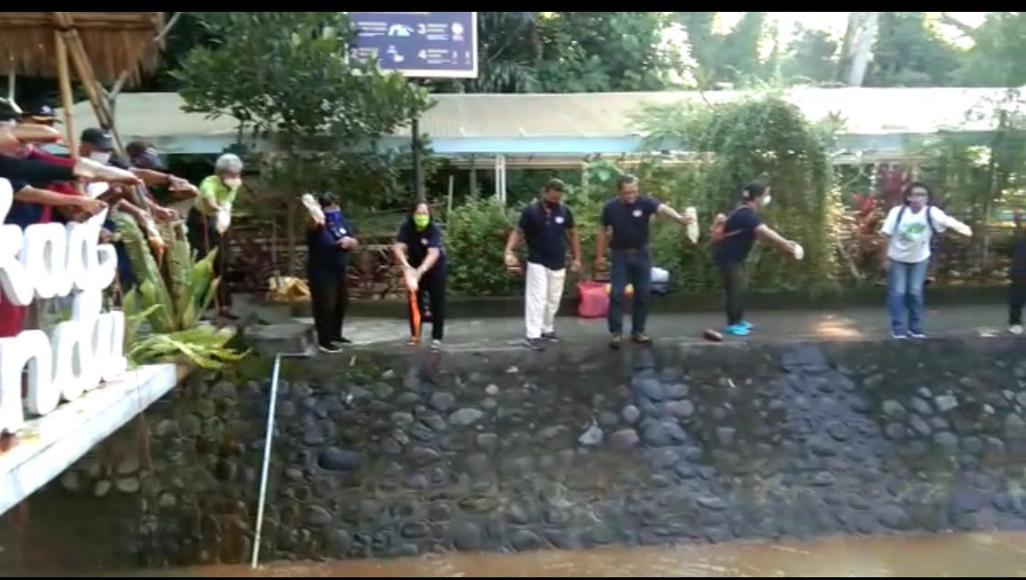 Jernihkan Air dan Hilangkah Bau, Tukad Bindu Dituangi Eco Enzyme