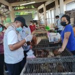 Antisipasi Penyebaran Virus AI, Distan Denpasar Cek Unggas di Pasar Kumbasari