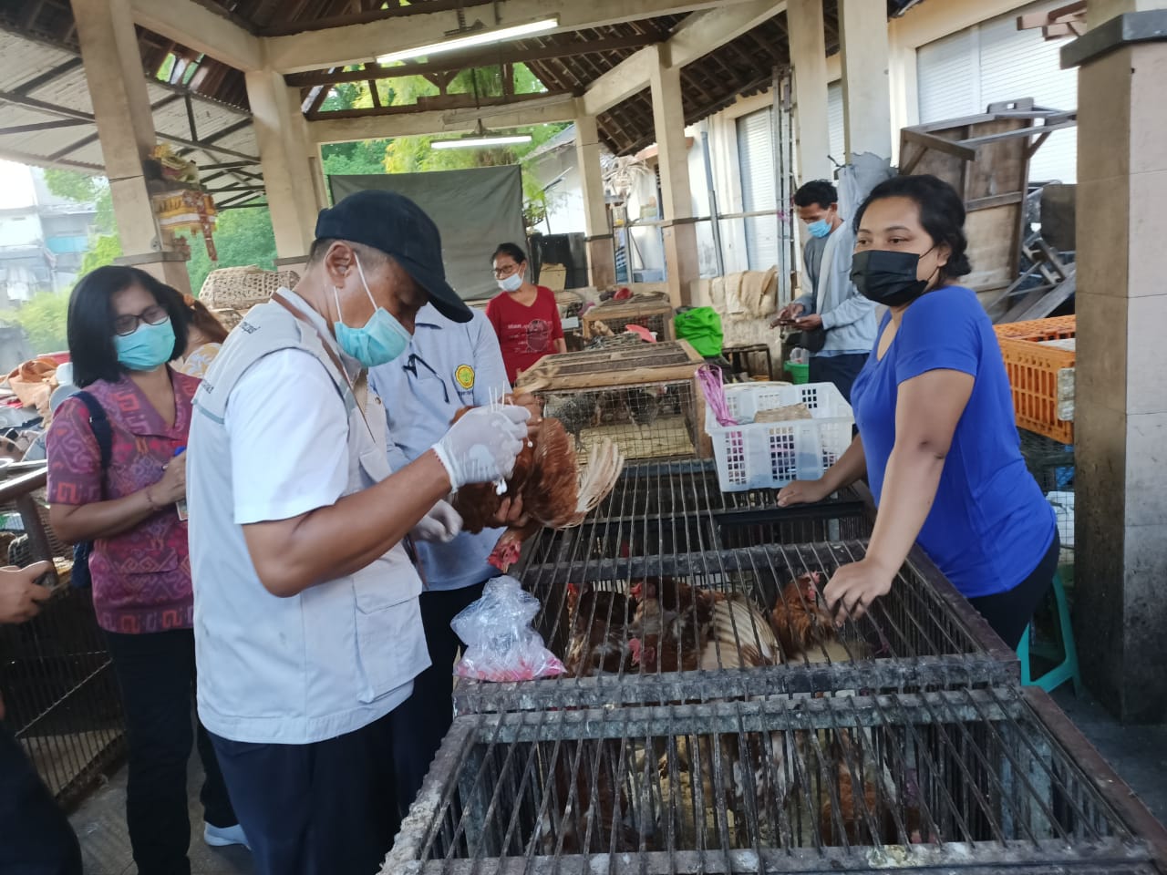 Antisipasi Penyebaran Virus AI, Distan Denpasar Cek Unggas di Pasar Kumbasari