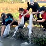 TP PKK Denpasar Bersinergi Dengan Komunitas Subak Lungatad  Kembangkan Ketahanan Pangan Untuk Penguatan Perekonomian