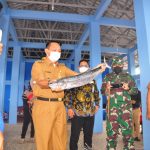 Bupati Belitung Timur Burhanudin : TPI Manggar bisa Meningkatkan  PAD Lelang  Ikan 