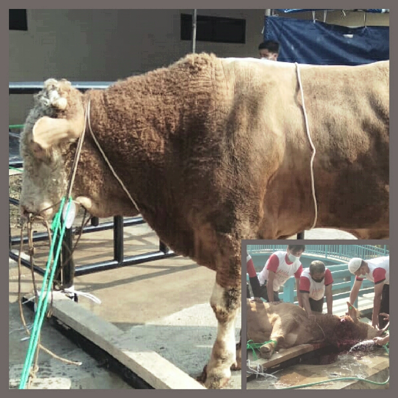 Idul Adha 1442 Hijriah, Polda Jawa Barat Melakukan Pemotongan 38 Hewan Qurban
