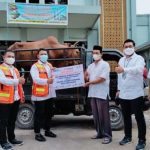 Sambut Idul Adha di Tengah Pandemi, IPC TPK  Salurkan 17 Ekor  Hewan Kurban