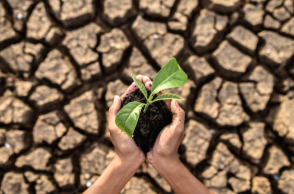 Indonesia termasuk yang di kritik PBB , Soal Perubahan Iklim