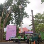 Masuki Musim Penghujan Serta Antisipasi Pohon Tumbang,Dinas LHK Kota Denpasar Laksanakan Perompesan Pohon Perindang
