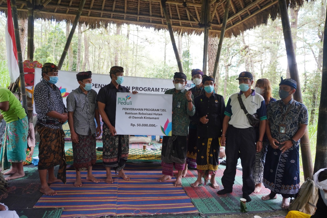 Peduli  Lingkungan, PLN Lakukan Penghijauan  Hutan Bangli
