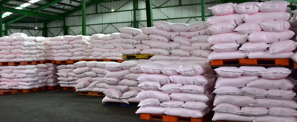 Pusri pastikan ketersediaan pupuk bersubsidi musim tanam Oktober 2021 hingga Maret 2022 untuk Sumsel  