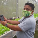 Semakin Modern, PLN UID Bali Dukung Pengembangan IoT untuk Hidroponik di Desa Pelaga