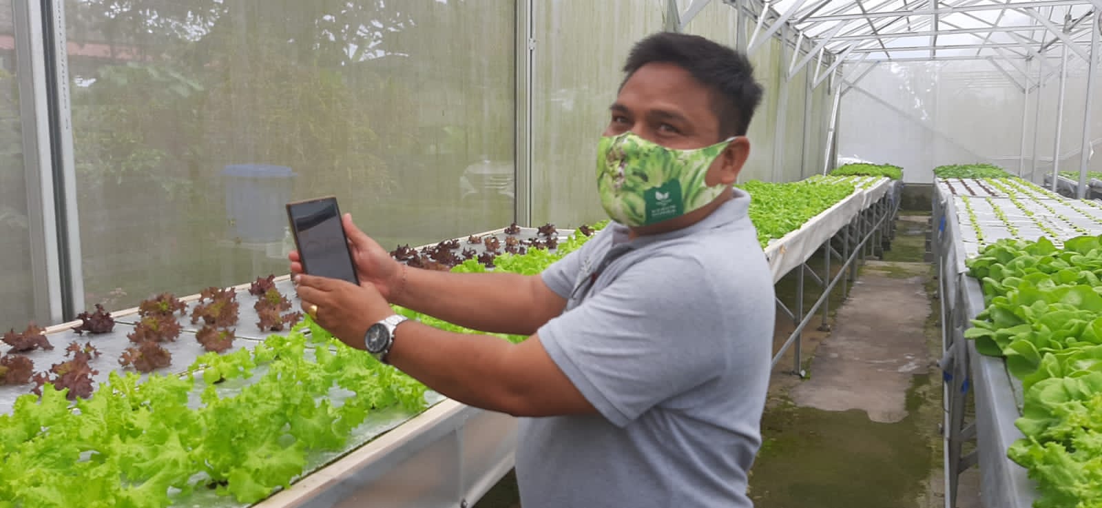 Semakin Modern, PLN UID Bali Dukung Pengembangan IoT untuk Hidroponik di Desa Pelaga