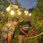 Didukung Listrik PLN, Petani Muda Ini Bawa Pertanian Bali Kian Modern