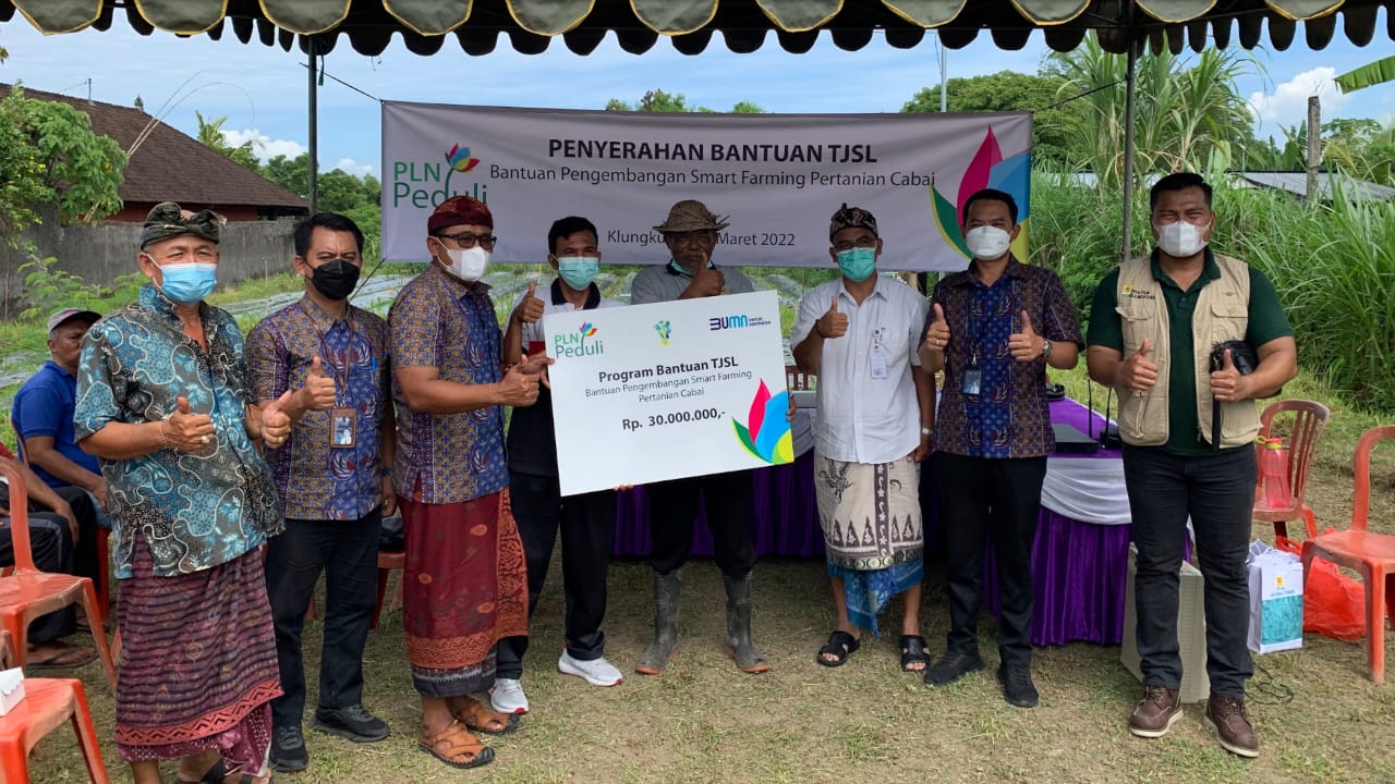 Peduli Pertanian Organik, PLN Salurkan Bantuan Smart Farming ke Kelompok Petani Cabai Klungkung