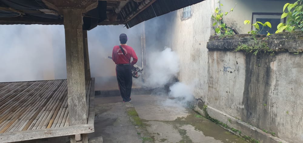 Antisipasi DBD dan Chikungunya, Pemkot Denpasar Lakukan Fogging Fokus di Sumerta Kaja