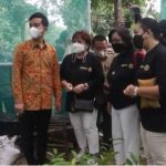Revitalisasi Ruang Terbuka Hijau, Gibran Serahkan 1.000 Bibit Pohon Buah