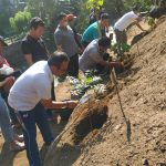 Hijaukan Bantaran Tukad Badung, Desa Dauh Puri Kaja Tanam Pohon Perindang