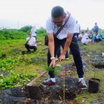 Lestarikan Ekosistem Laut, PLN Tanam 1.000 Pohon di Pesisir Pantai Biaung, Denpasar