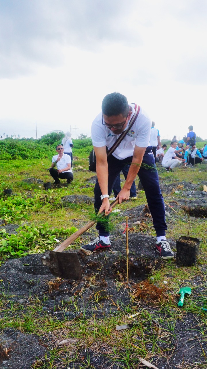 Lestarikan Ekosistem Laut, PLN Tanam 1.000 Pohon di Pesisir Pantai Biaung, Denpasar