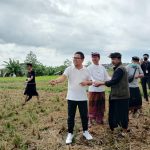 Wawali Arya Wibawa Buka ST BMS Kite Festival.