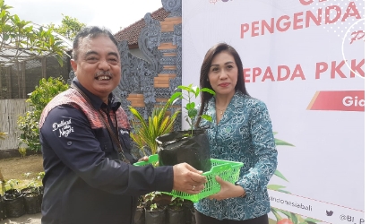 Menjaga inflasi pangan, Bank Indonesia serahkan  CSR  3000 Bibit Cabai  kepada  Ketua TP. PKK Kab. Gianyar
