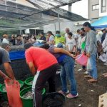 Jaga Stabilitas Pangan, Desa Dauh Puri Kelod Bagikan Ribuan Ikan Lele