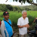 Dapati Pegunungan Kendeng Lebih Banyak Jagung Ketimbang Tanaman Keras, Ganjar Minta Ada Evaluasi
