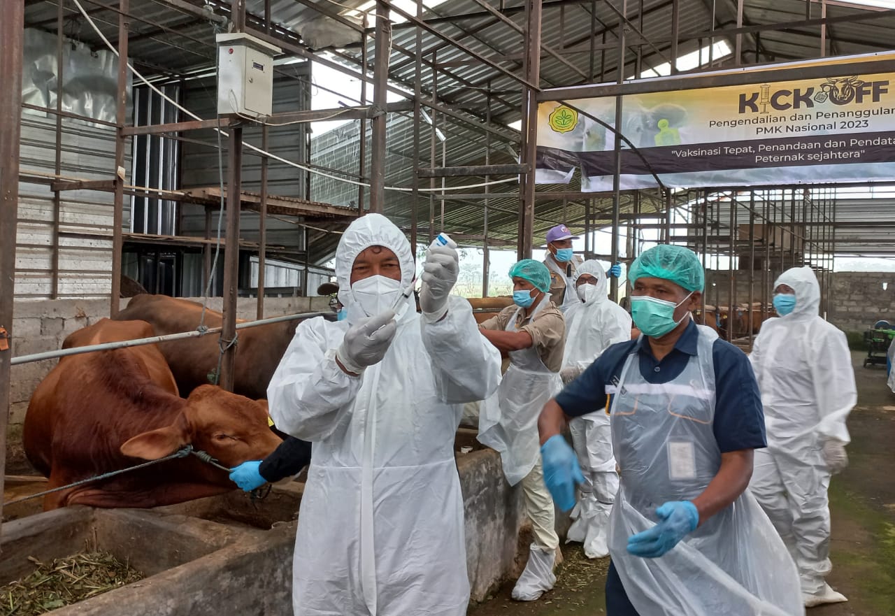 Putus PMK, 2023 Pemprov Jateng Targetkan Vaksin bagi 2,4 Juta Ternak