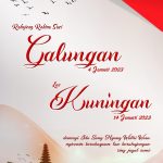 Pemerintah  Provinsi  Bali