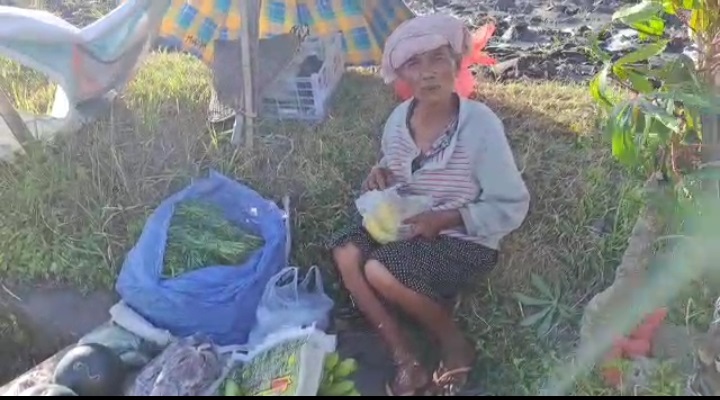 Demi kelangsungan hidup, walau  omzet  penjualan Rp.25 ribu per hari, Lansia penjual sayur tetap semangat