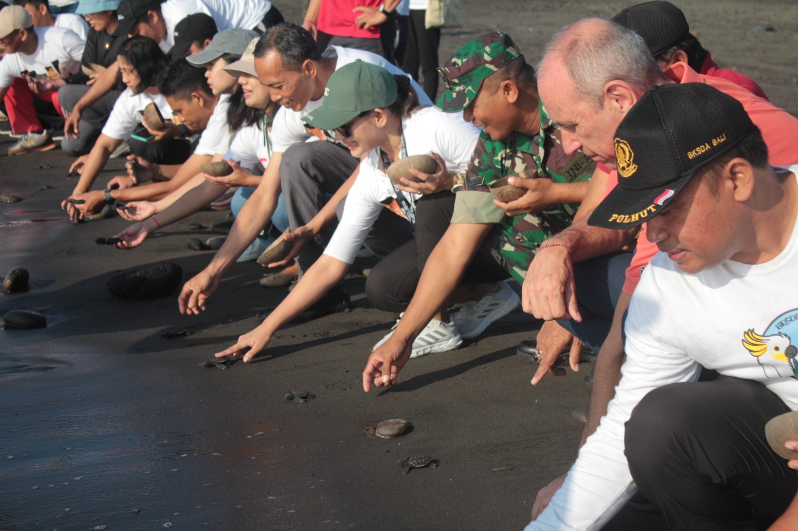 Peringati  Hari  Penyu  Sedunia,   Bali Safari Lepasliarkan Puluhan Tukik