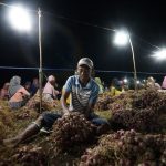 Sukses Bertransformasi, PLN Raih Pendapatan Penjualan Rp311,1 Triliun pada 2022