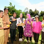 Panen Bawang dan Jeruk di Humbahas, Nawal Ajak Masyarakat Jaga Ketahanan Pangan
