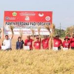 Jaganya Ketahanan Pangan, Pemkab Tabanan Panen Padi Organik di Subak Bengkel
