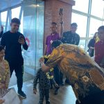 Resmi! Bandara I Gusti Ngurah Rai Bali Akhirnya Layani Penerbangan Langsung dari India