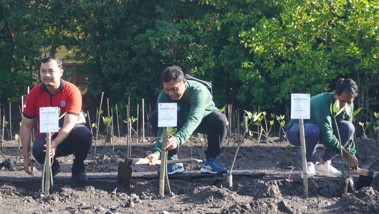 Kendarai Motor Listrik ke Hutan Mangrove Denpasar, PLN Gandeng Komunitas EV Lakukan Aksi Sosial dan Peduli Lingkungan