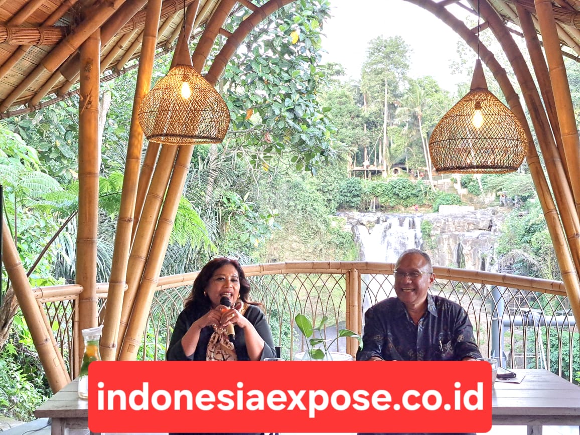 indonesiaexpose.co.id