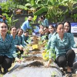 Lakukan Tanam Cabai Serentak, Ketua TP.PKK Kota Denpasar Dukung Penurunan Inflasi di Kota Denpasar