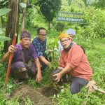 Kandidat Gold Pada Pembangunan Desa Berkelanjutan Award 2024, Desa Manistutu Jembrana Binaan PLN Masuk Tahap Penilaian