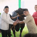 Peringati Hari Raya Idul Adha 1445 H,  PT. Pegadaian  Salurkan 822 Ekor Hewan Kurban Untuk Masyarakat