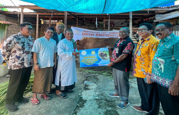 Sapi Kurban Berbobot 845 Kg Presiden Jokowi Diserahkan