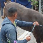 Indonesiaexpose.co.id